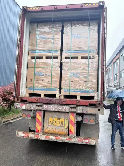 PNG Brand OEM ODM 166mm P Type 450W 455W 460W Solar Models